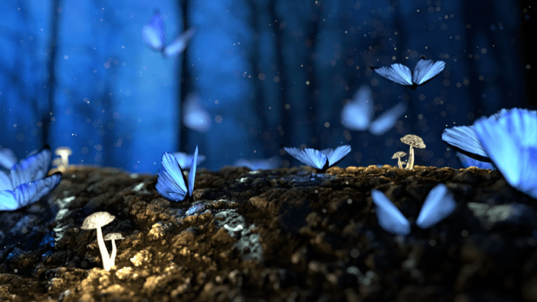 The Butterfly Effect and its implications onto the world and us. How to change the world.