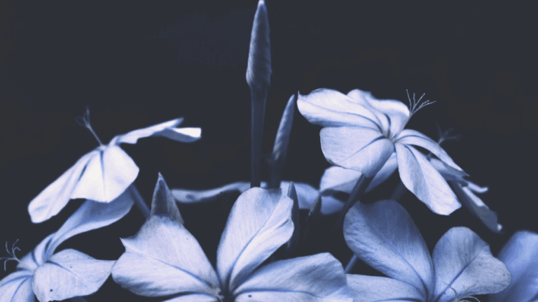 How to Change the World: The 1 Essential Trick You Need to Know