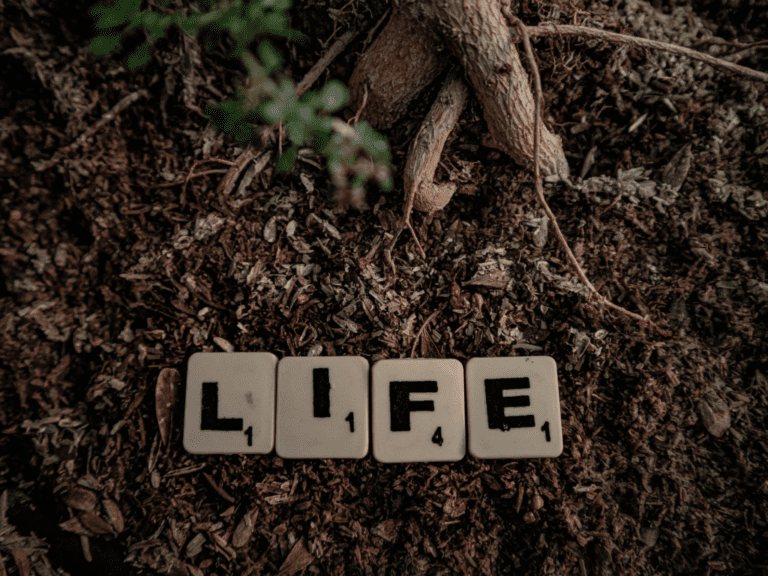 What is point of life?