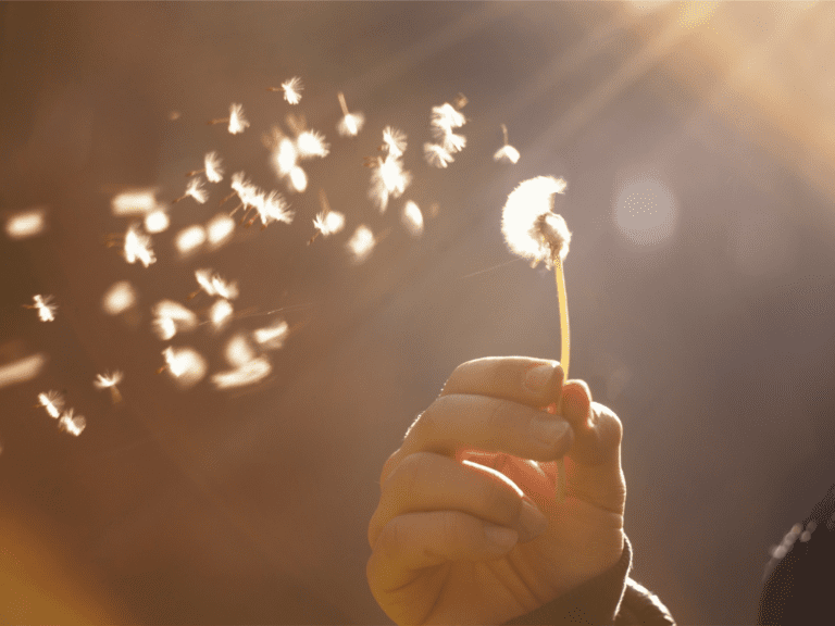 The Art Of Letting Go